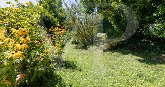 von_poll_real_estate_property_20253445012_image_6