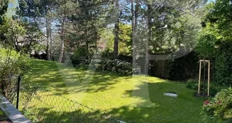 von_poll_real_estate_property_20253441035_image_32