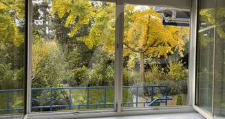 von_poll_real_estate_property_20253441035_image_33