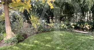 von_poll_real_estate_property_20253441035_image_35