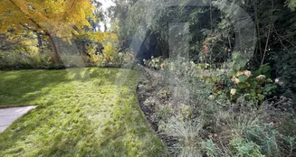 von_poll_real_estate_property_20253441035_image_34