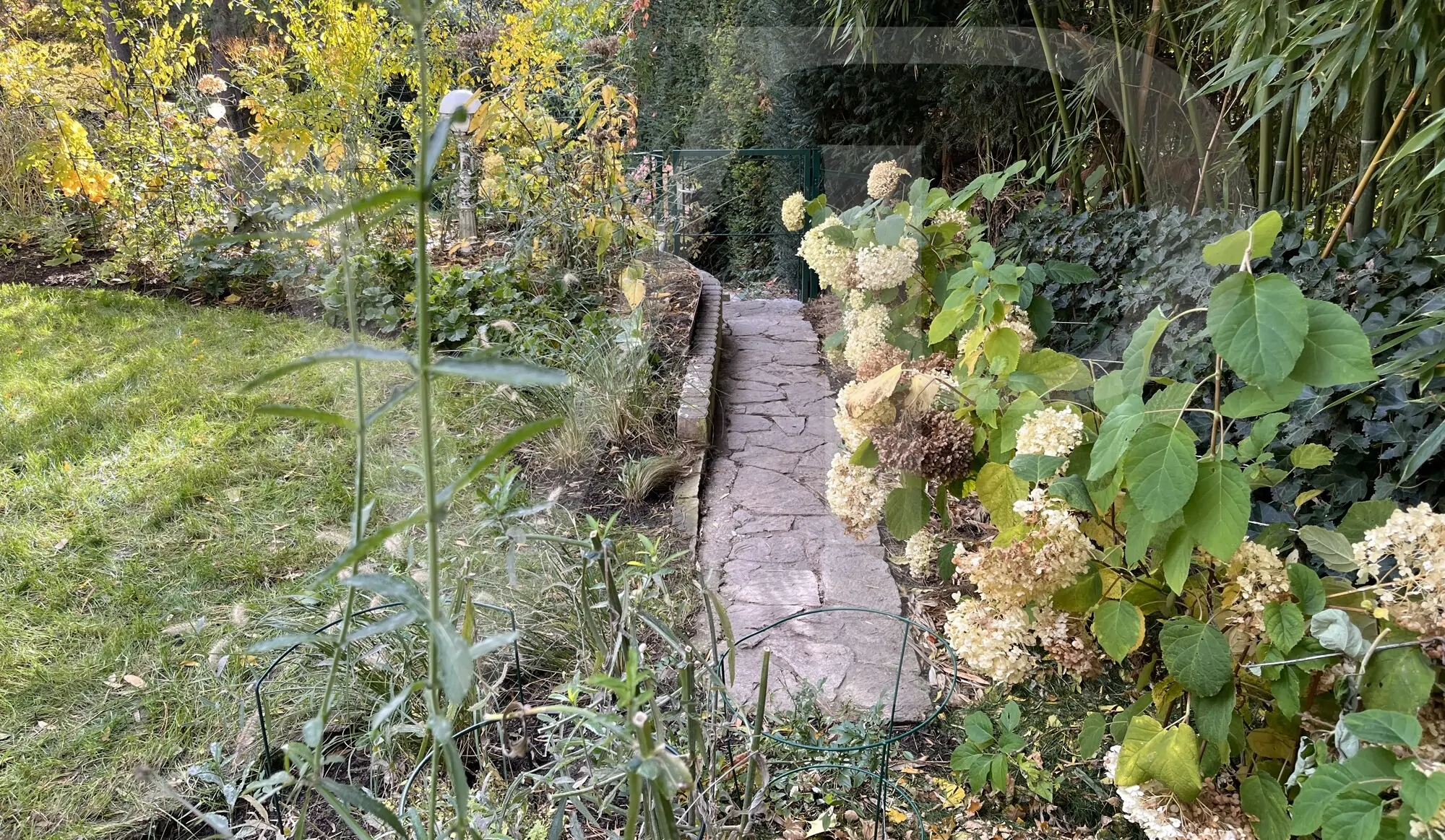 Exklusive Maisonette-Wohnung mit Garten nahe der Kaasgrabengasse - 1190 Wien