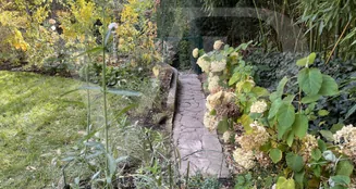 von_poll_real_estate_property_20253441035_image_26