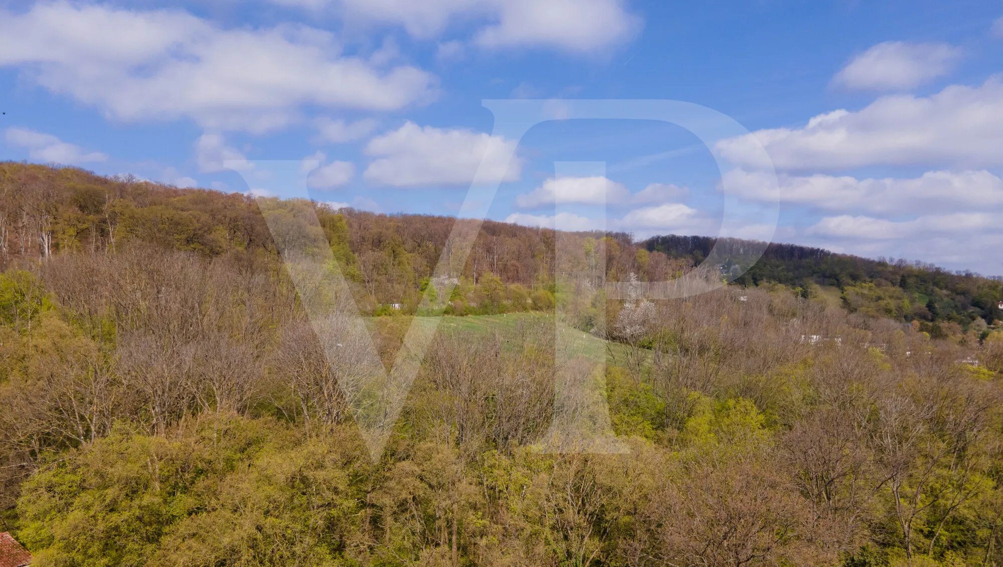 DJI_0127