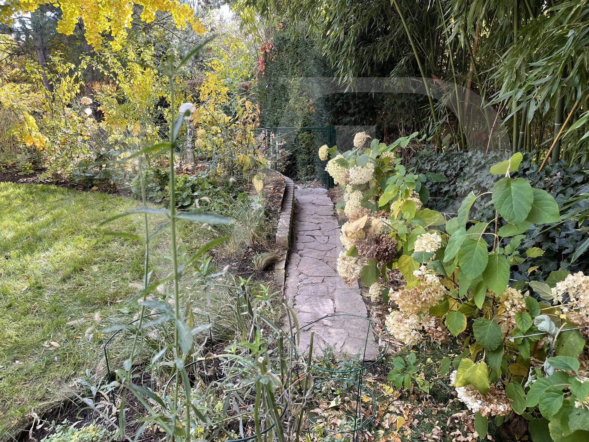 Exklusive Gartenmaisonette nahe der Kaasgrabengasse - 1190 Wien