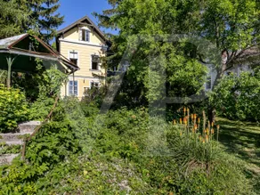 Villa mit außergewöhnlichem Raumangebot und vielseitigen Perspektiven am Waldrand