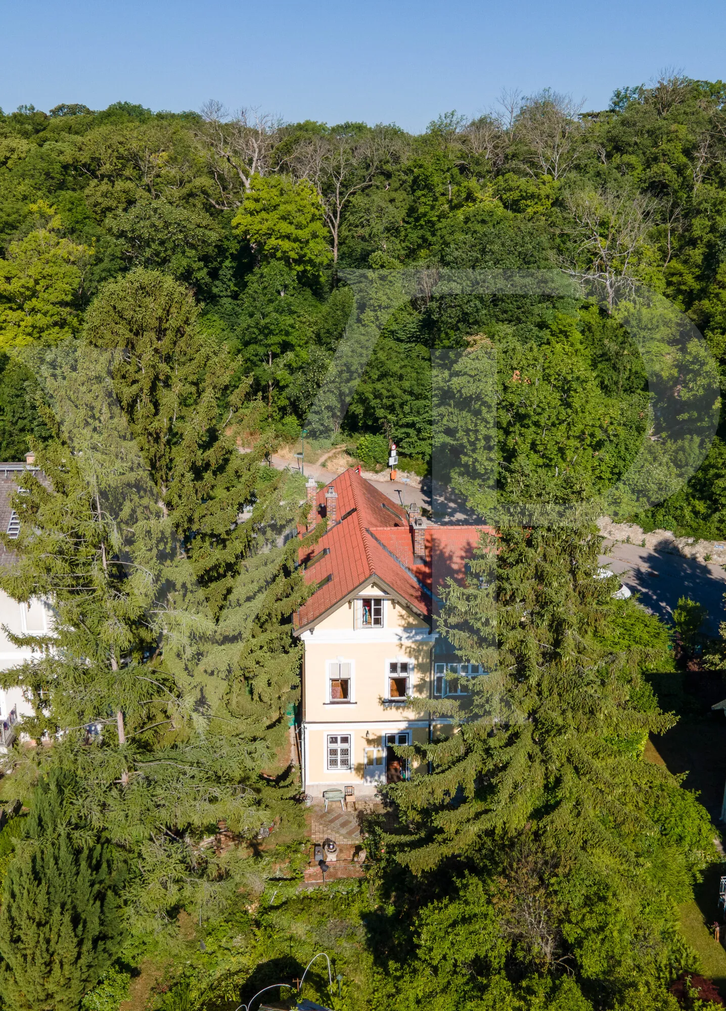 DJI_0350