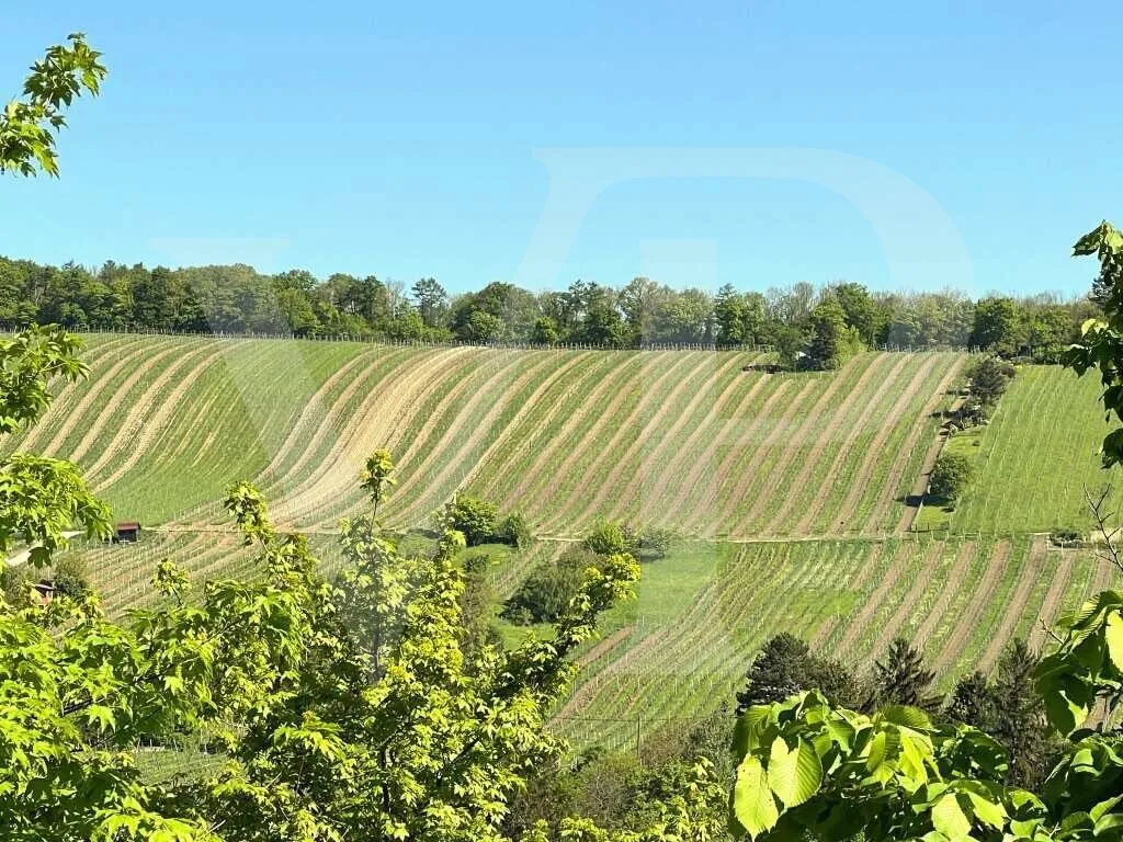 Helle Maisonette im Grünen  - Blick auf die Weinberge in Neustift am Walde