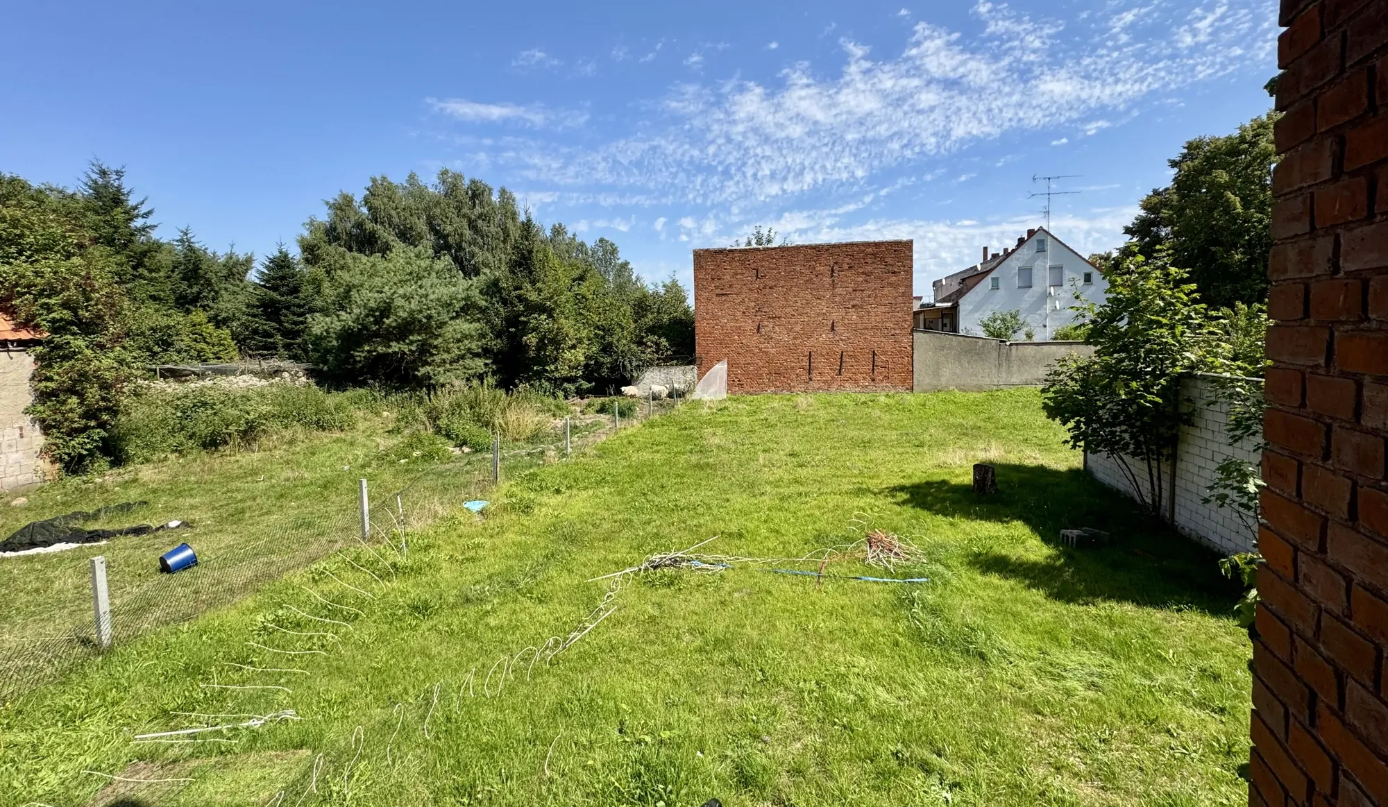 Blick vom Hintereingang