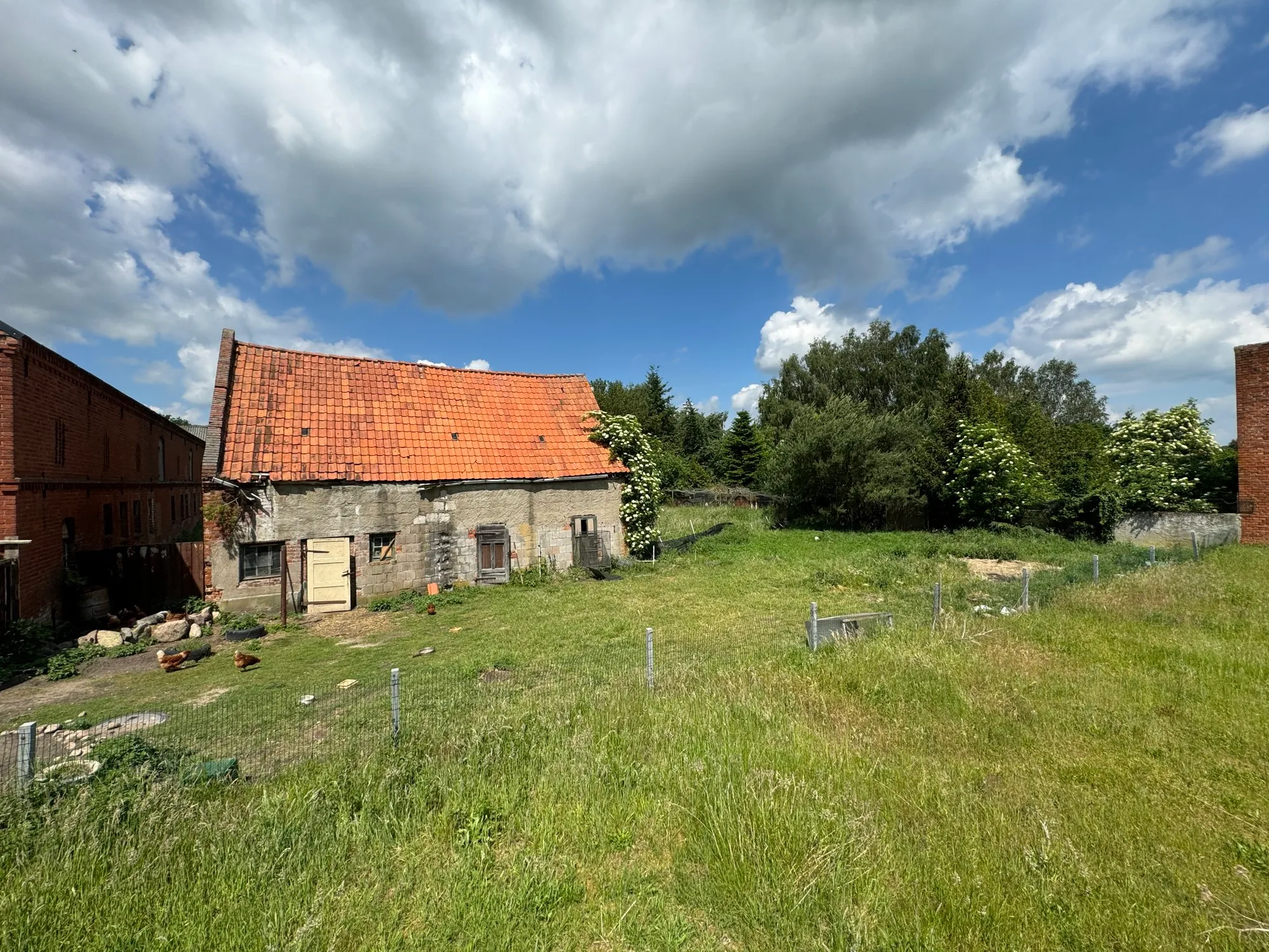 Hinterer Teil Grundstück