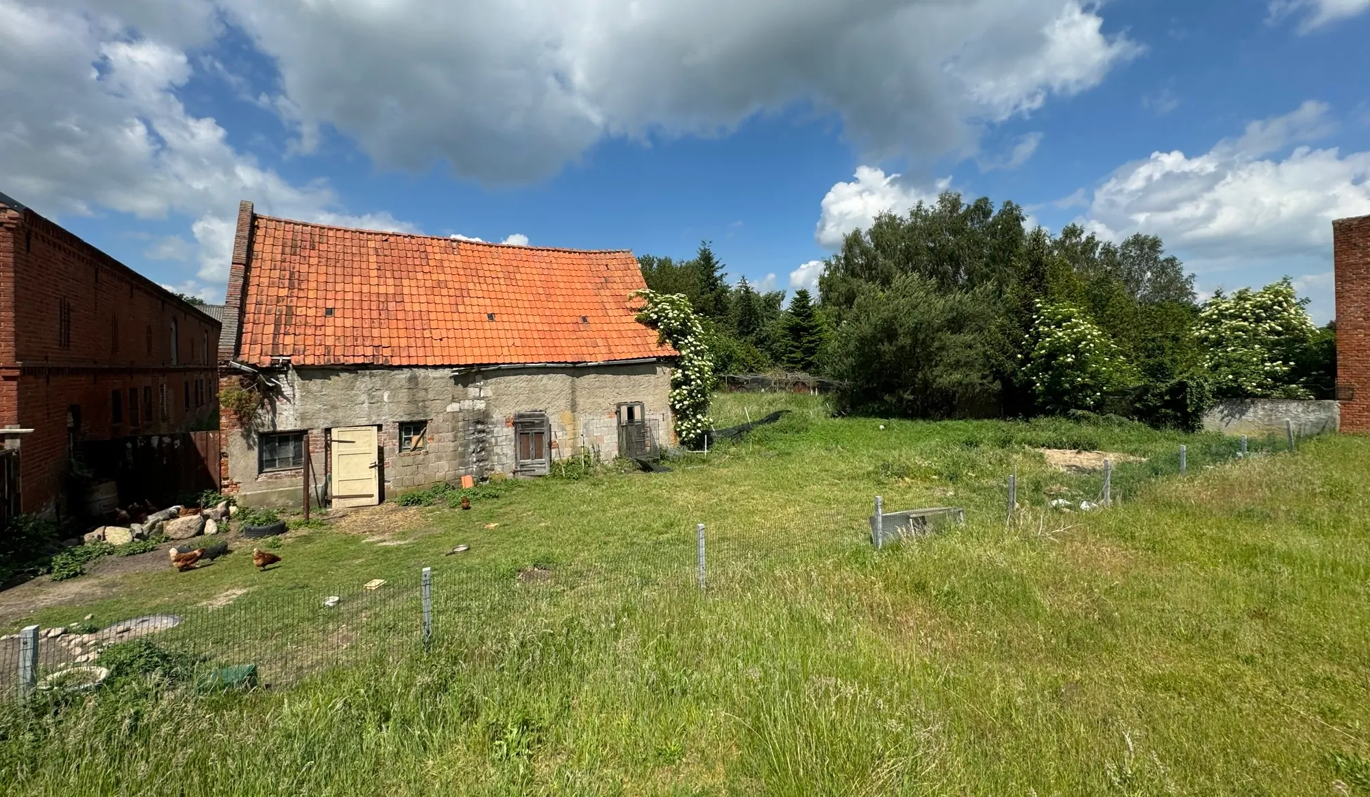 Hinterer Teil Grundstück