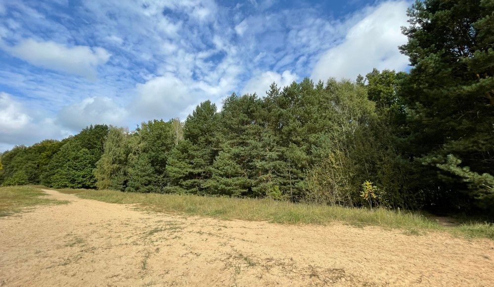 Wald und Ödland