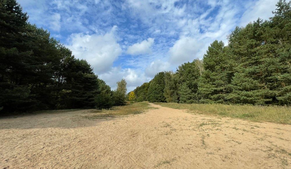 Wald und Ödland