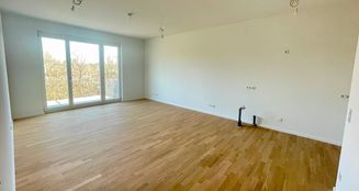 von_poll_real_estate_property_25343158_image_3