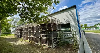 von_poll_real_estate_property_25343177_image_12