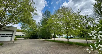 von_poll_real_estate_property_25343178_image_6