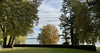 von_poll_real_estate_property_25343209_image_0