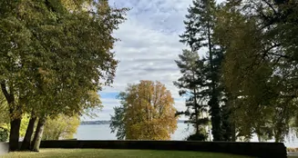 von_poll_real_estate_property_26343114_image_0