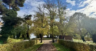 von_poll_real_estate_property_25343209_image_1