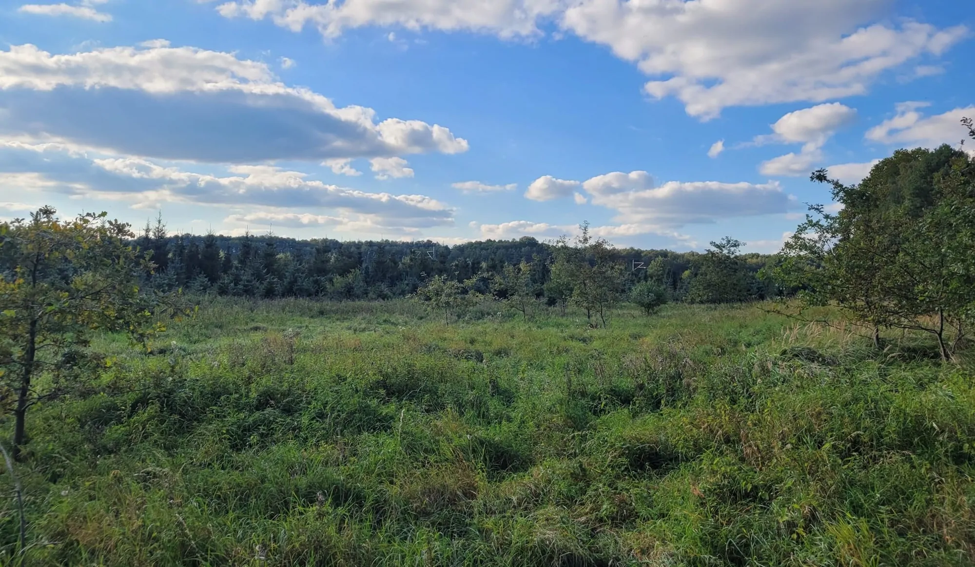 Waldfläche-Landwirtschaftsfläche