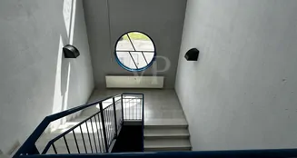 von_poll_real_estate_property_25342002_image_9