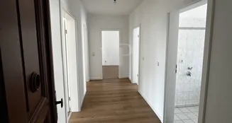 von_poll_real_estate_property_UQ831_image_7