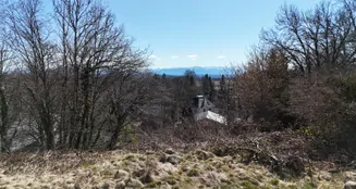 von_poll_real_estate_property_24289019_image_6