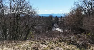 von_poll_real_estate_property_24289022_image_5