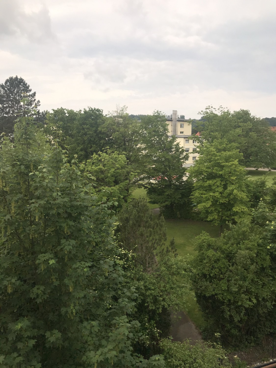 Ausblick