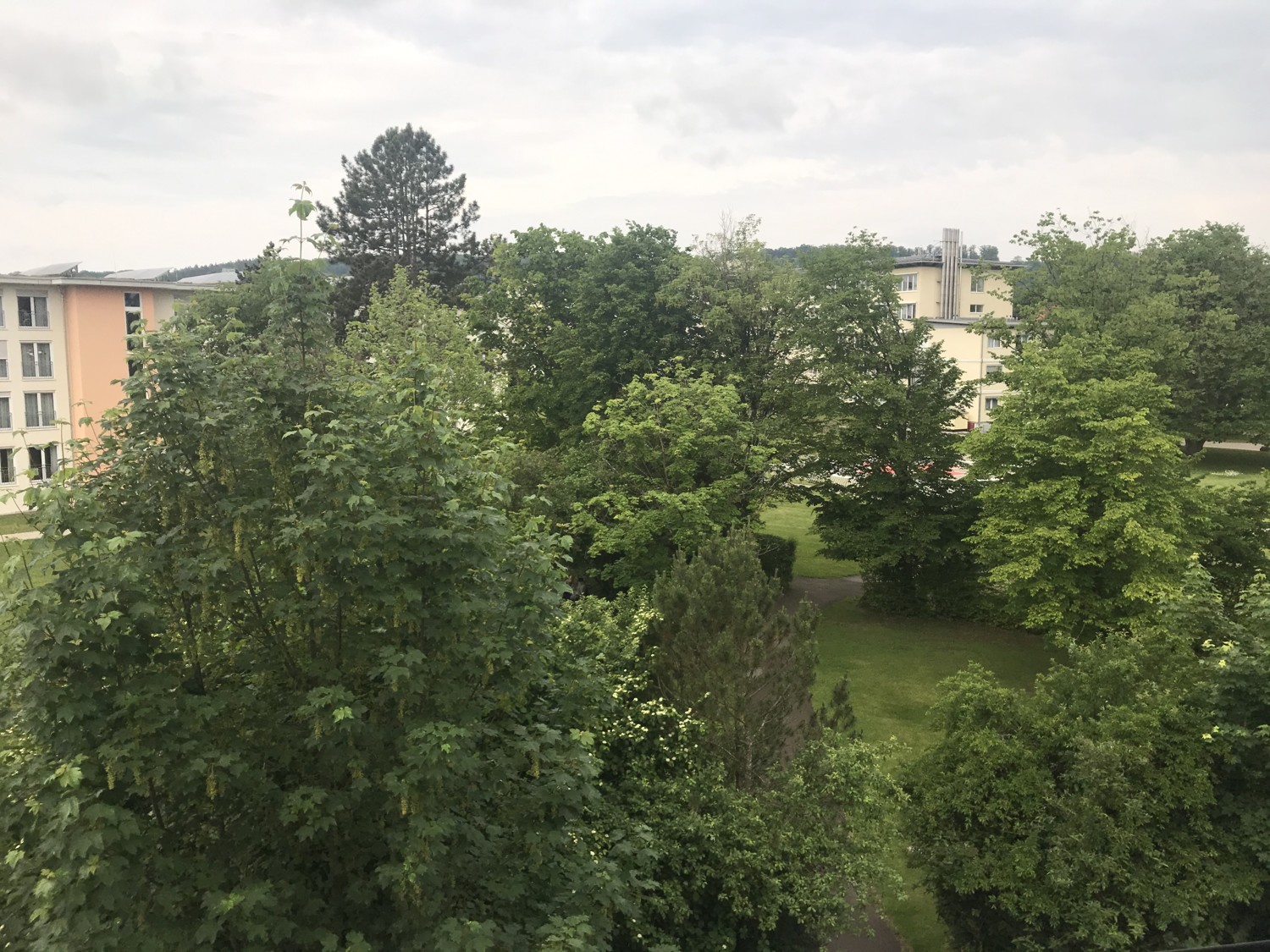 Ausblick