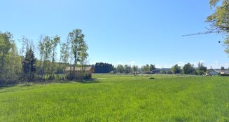 von_poll_real_estate_property_25289008_image_14