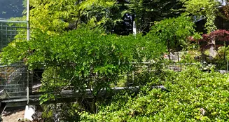 von_poll_real_estate_property_25289017_image_27