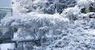 von_poll_real_estate_property_25289017_image_27