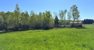 von_poll_real_estate_property_25289008_1_image_16