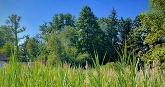 von_poll_real_estate_property_25289008_1_image_0