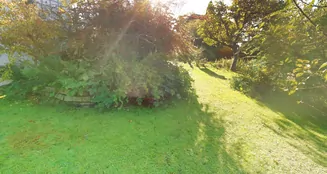 von_poll_real_estate_property_25289025_image_29