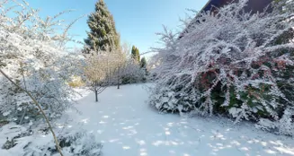 von_poll_real_estate_property_25289025_image_35