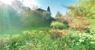 von_poll_real_estate_property_25289025_image_25