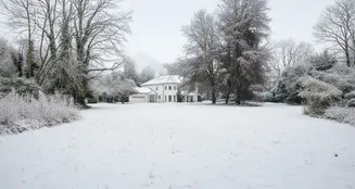 von_poll_real_estate_property_25289007_2_image_1