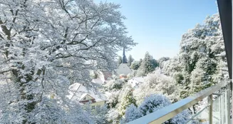 von_poll_real_estate_property_25289017_1_image_6