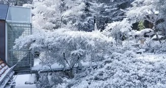 von_poll_real_estate_property_25289017_1_image_83