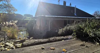 von_poll_real_estate_property_24256219_image_28