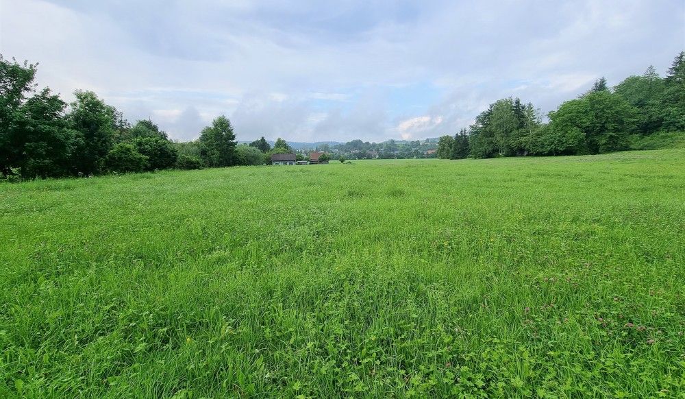 Blick ins Grüne