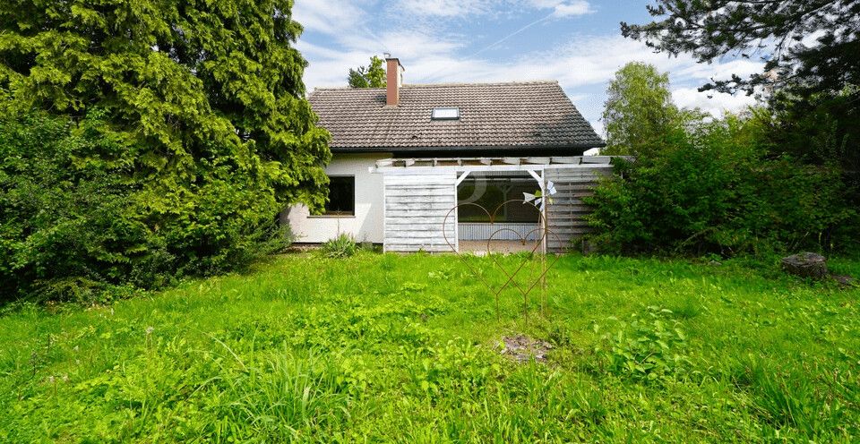 Haus