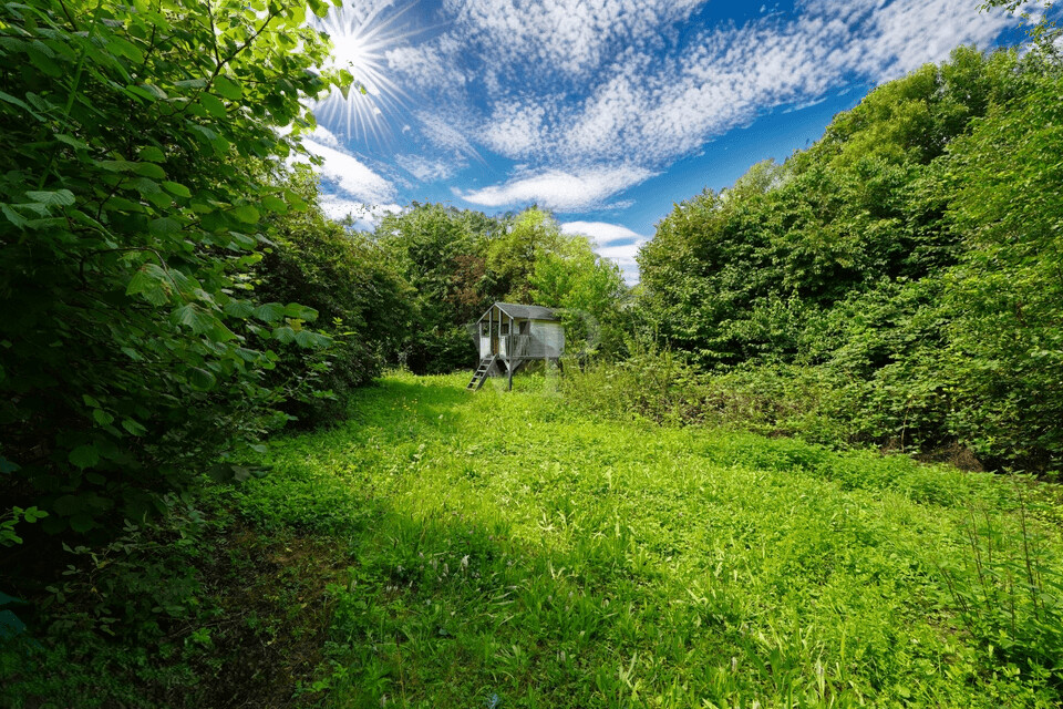 Hinterhof