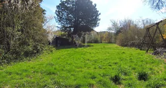 von_poll_real_estate_property_25256226_image_17