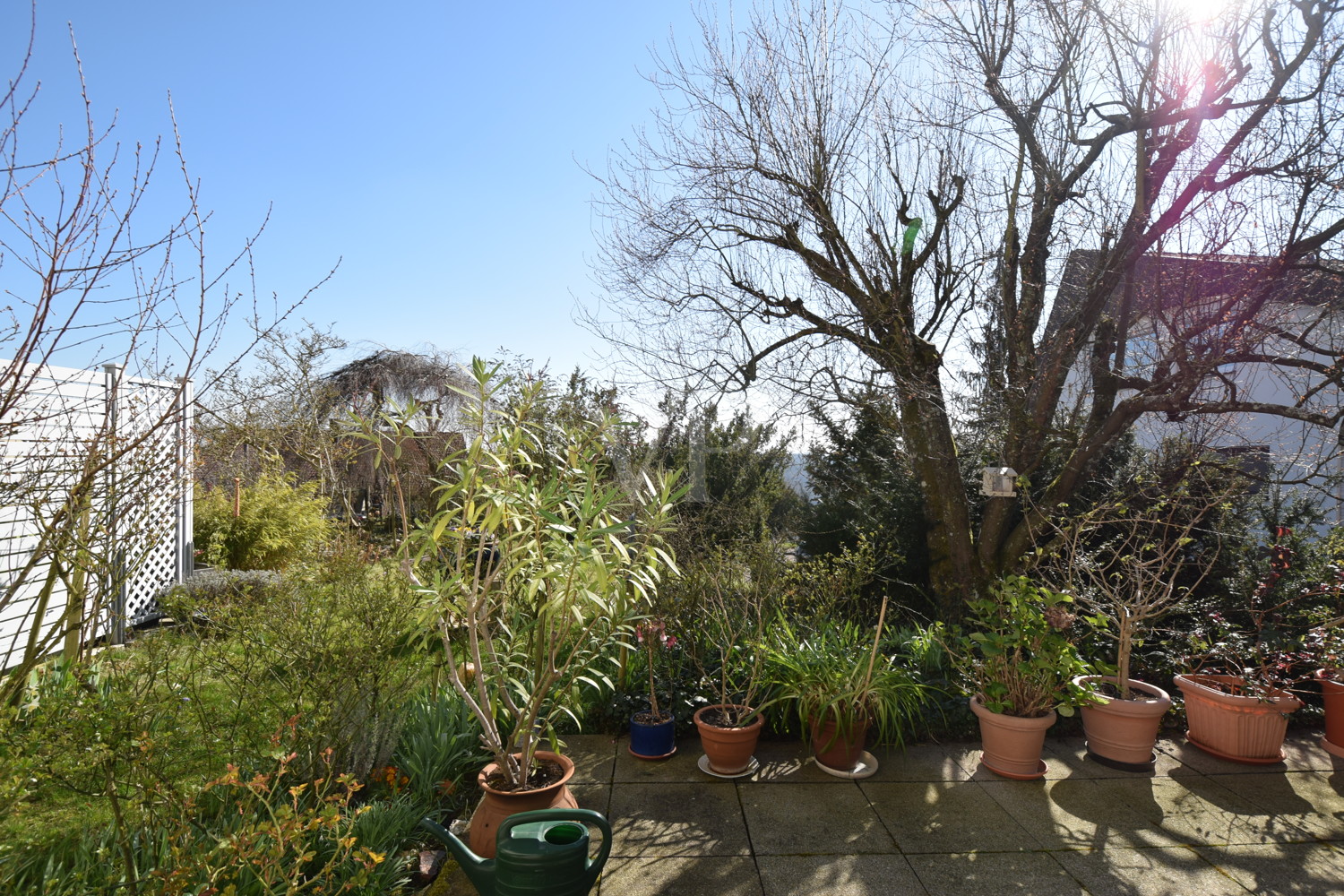 Terrasse / Garten