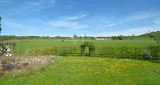 von_poll_real_estate_property_25256229_image_17