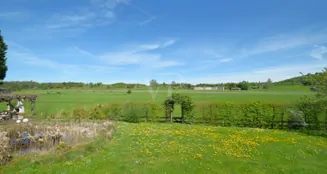 von_poll_real_estate_property_25256229_image_16