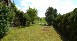 von_poll_real_estate_property_25256232_image_25